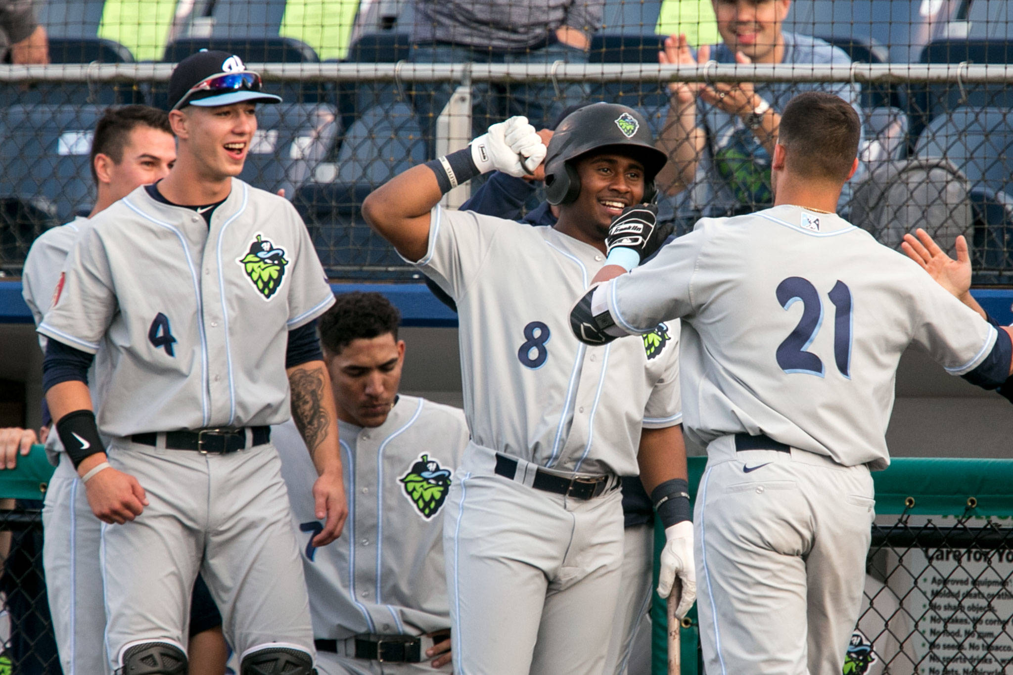 The Hops’ Joey Rose (21) makes his way to the dugout to celebrate with teammates Ryan January (4) and Keshawn Lynch (8) after hitting a home run in the third inning against the AquaSox on June 15, 2018, at Everett Memorial Stadium. (Kevin Clark / The Herald)