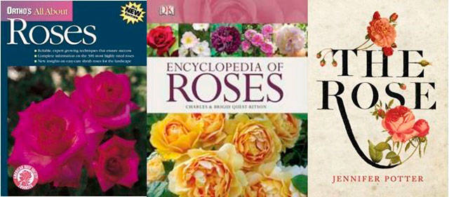 Everett Public Library has an assortment of worthy rose-related reading this summer. (Everett Public Library image)