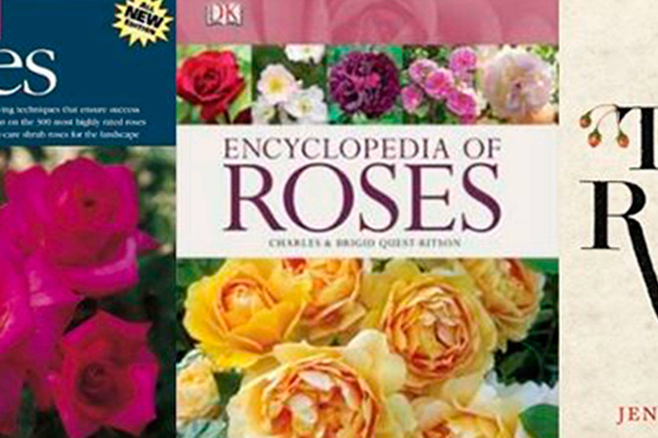 Roses have prickles, not thorns, and other useful info