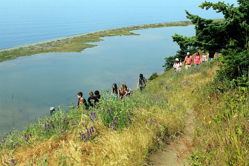 Fourth- and fifth-graders from Twin City Elementary School in Stanwood hike during a local geology field trip June 6 at Ebey’s Landing on central Whidbey Island. (Contributed photo)
