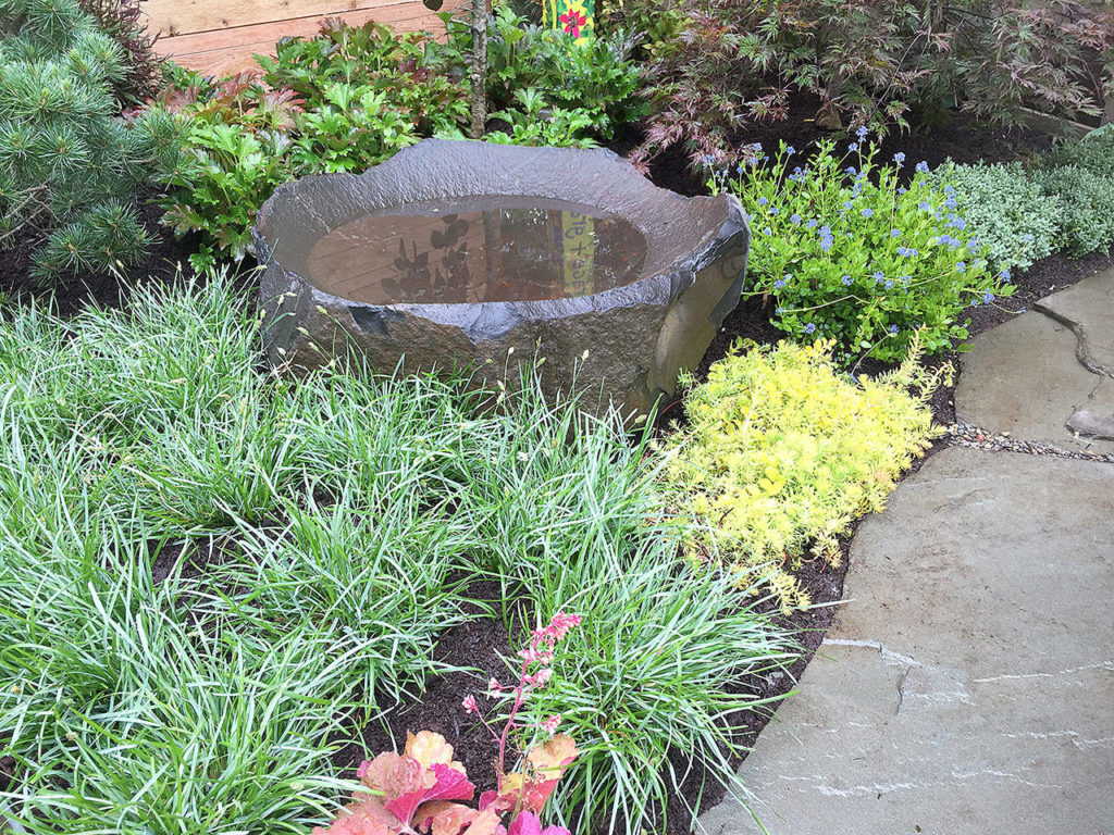 Dish rocks are perhaps the simplest way to bring water into the landscape. (Pam Roy)
