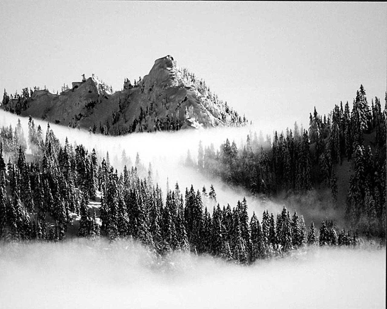 This was one of the photos taken by Alex Ropka of Glacier Peak High School, who placed second in the Professional Photographers of Washington Student Photographer of the Year Scholarship contest. (Contributed)
