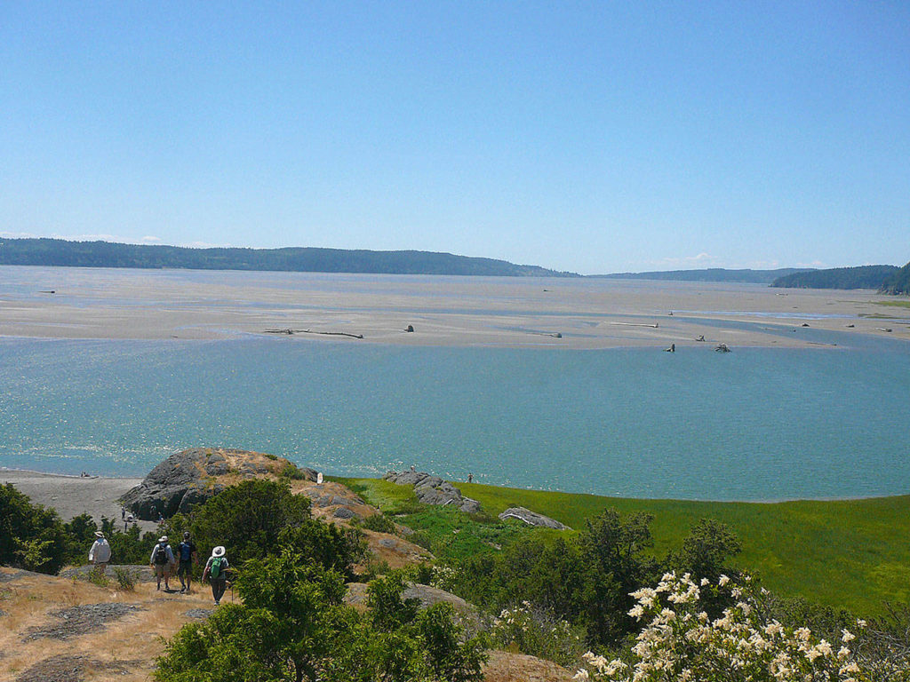 The highest point on Craft Island rises only about 80 feet above the surrounding water, but it offers 360-degree views of Skagit Bay and the river delta. (Mark Carlson / The Herald)
