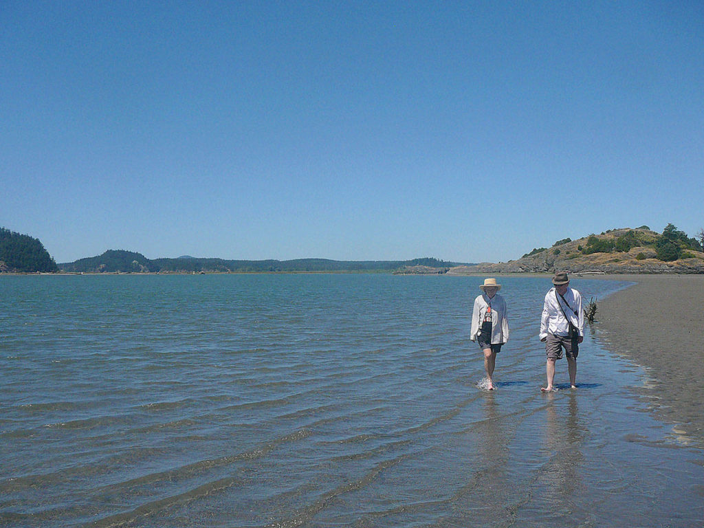 At low tide, you can walk for miles on the hard-packed sand beach. (Mark Carlson / The Herald)
