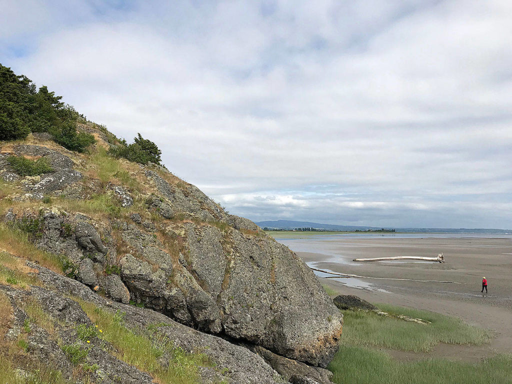 Craft Island is a 2½-acre rock knob, reachable by an easy (but muddy) walk of just under 1 mile. (Mark Carlson / The Herald)
