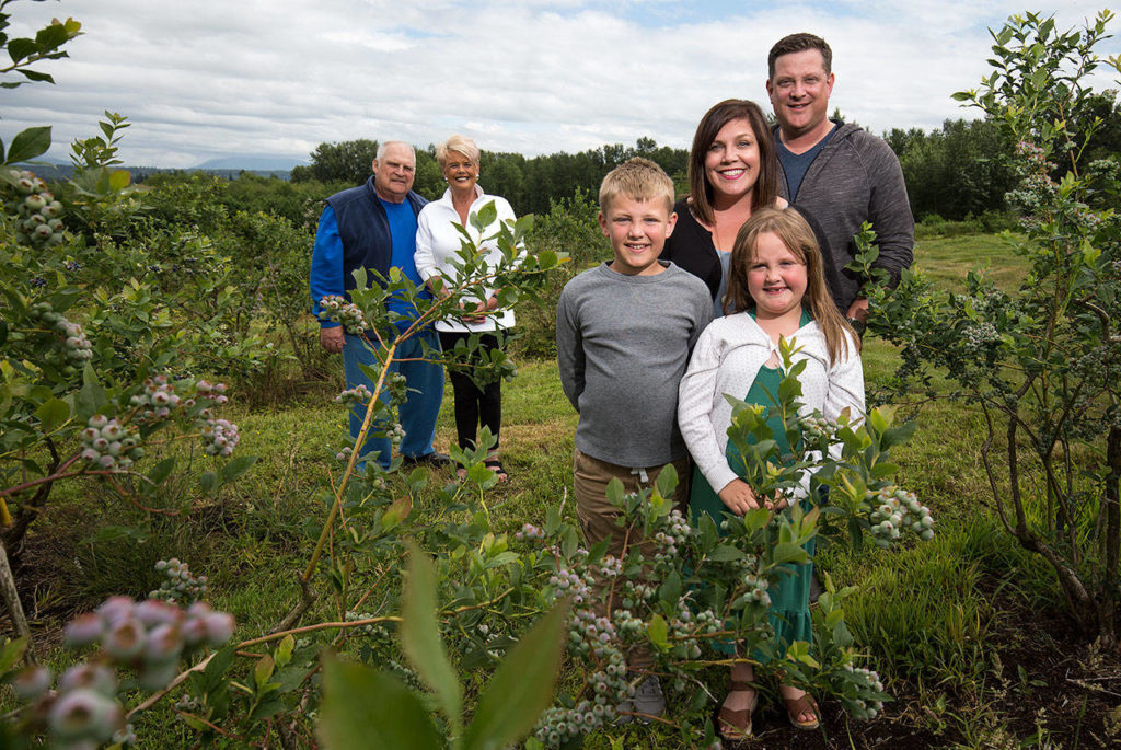 Kyle and Mikala Schmidt, with kids Kai and Elle, have taken over the Schmidt Blueberry Farm from his parents, Bill and Susie (left). The kids make it four generations that have worked the farm, starting with Bill’s mother, who started the farm in 1962. (Andy Bronson / The Herald)
