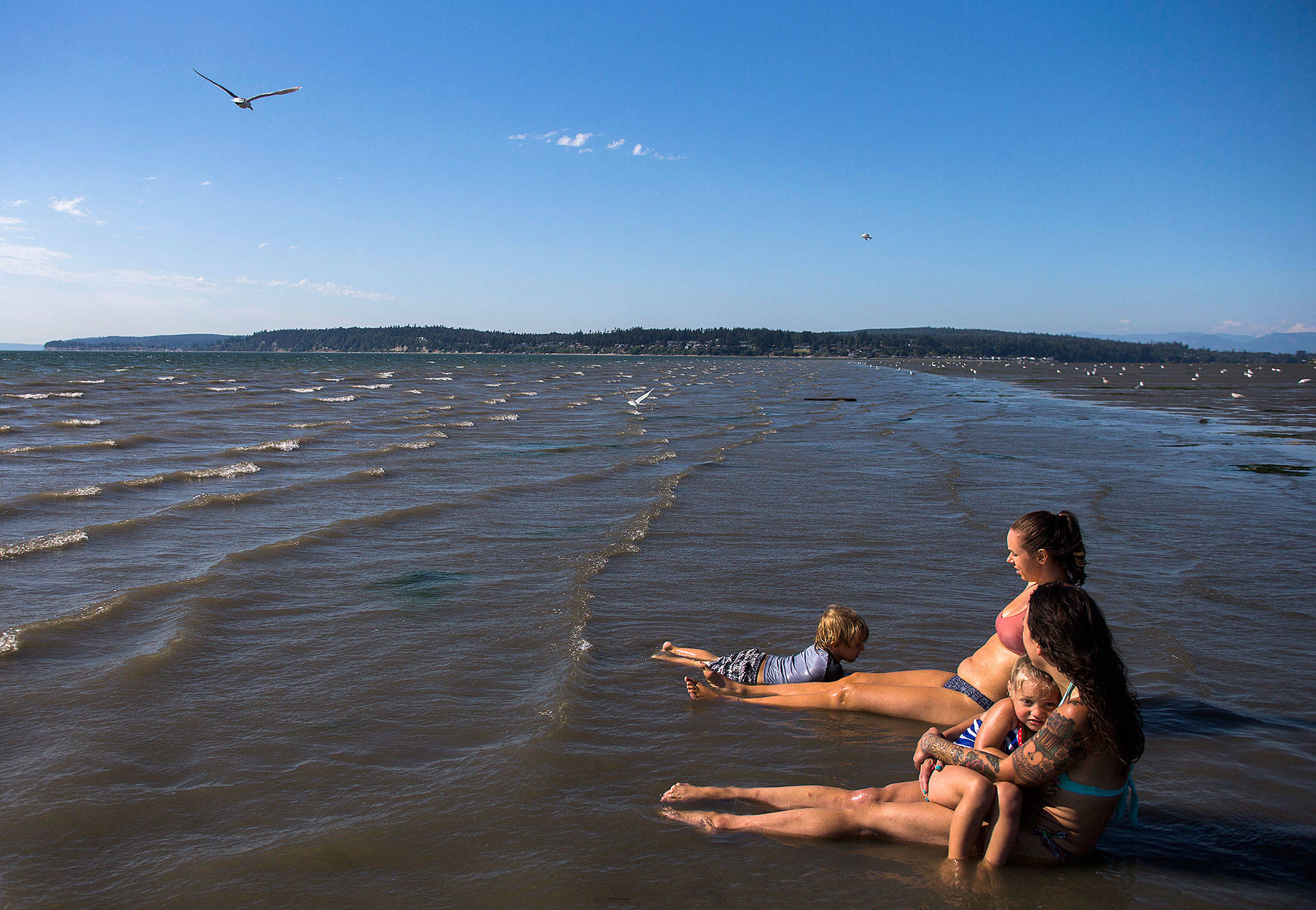 Milissa Simons (right) holds Jet Juliann, 3, while Ashley Elledge (center) watches Lincoln Ballard, 3, swim in the water off of Jetty Island on Thursday in Everett. (Olivia Vanni / The Herald)