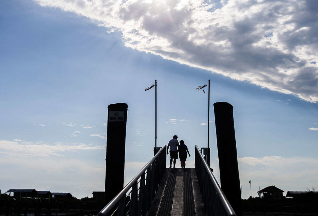 A couple makes their way up the walkway to Jetty Island on Thursday in Everett. (Olivia Vanni / The Herald)
