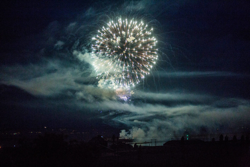 Thunder on the Bay Fireworks are seen from Legion Memorial Park on Wednesday in Everett. (Olivia Vanni / The Herald)
