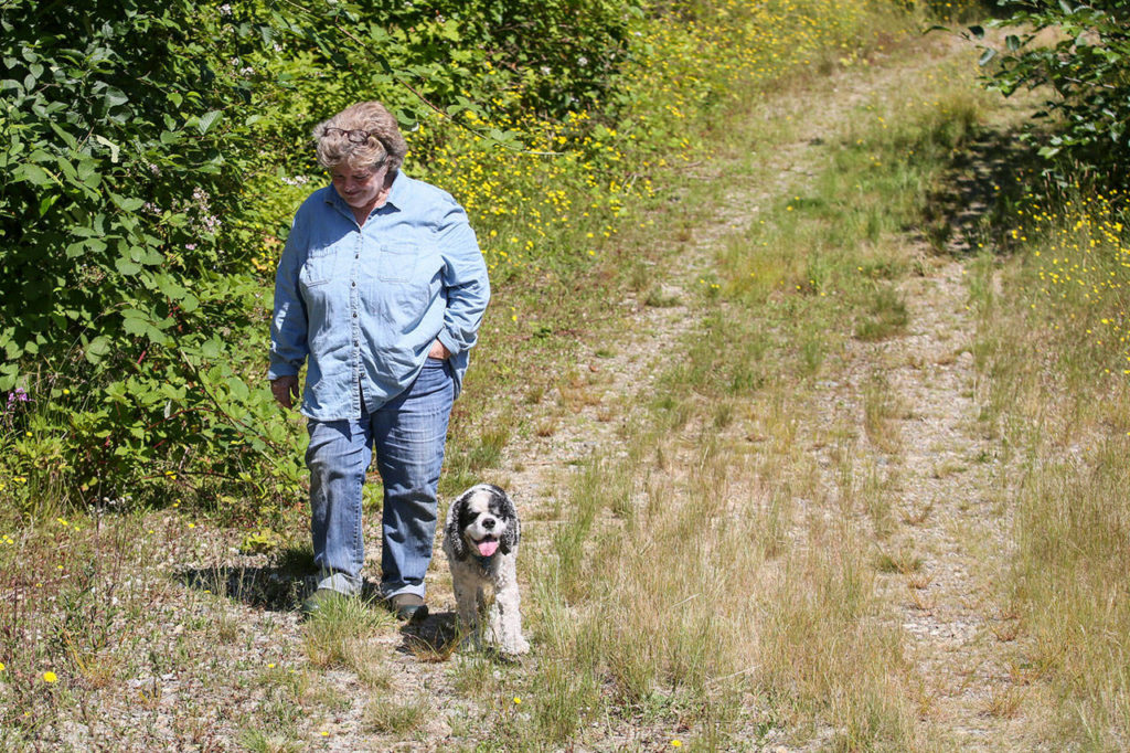 Darlina New walks the former logging road at the Nourse Tree Farm and will host open house next weekend to celebrate being the Tree Farmer of the Year for Washington. (Kevin Clark / The Herald)
