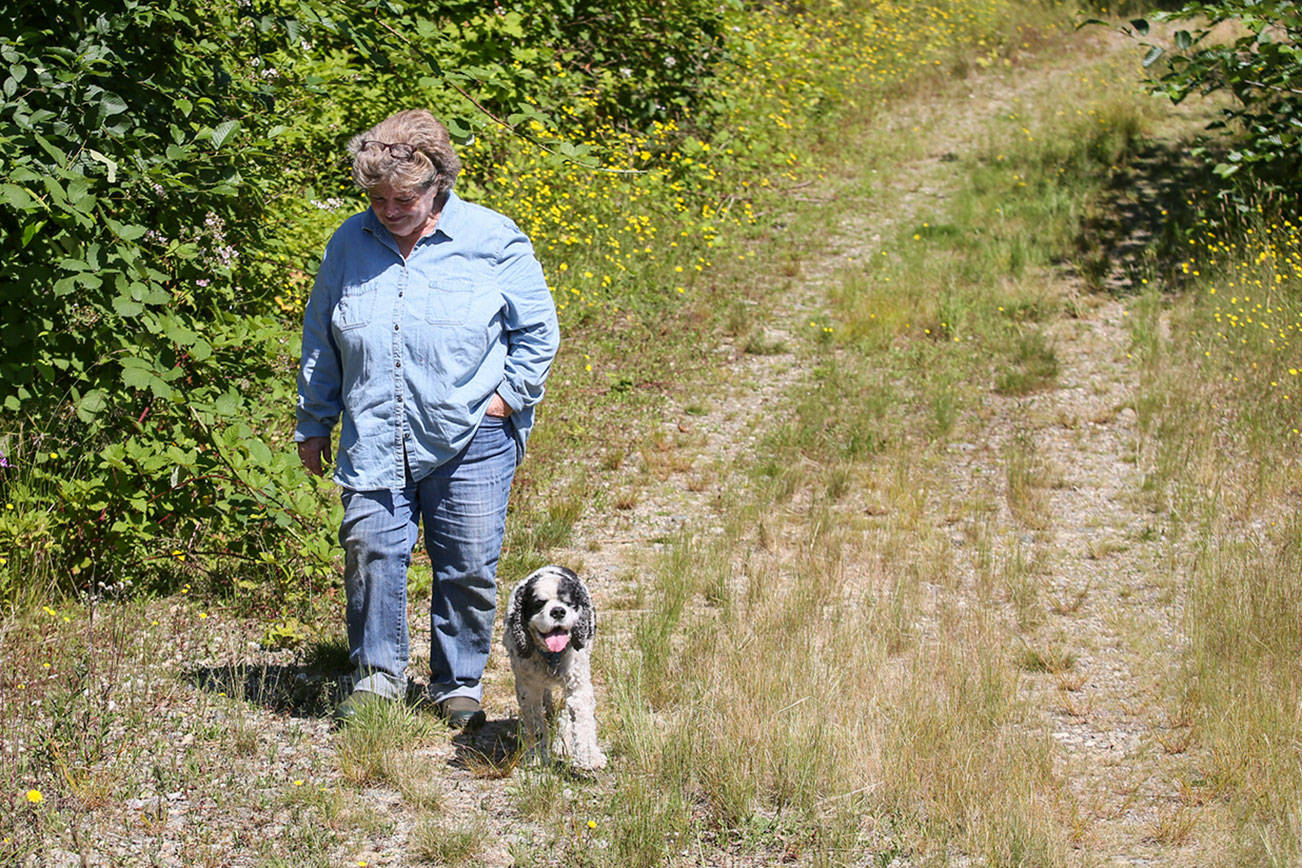 Darlina New walks the former logging road at the Nourse Tree Farm and will host open house next weekend to celebrate being the Tree Farmer of the Year for Washington. (Kevin Clark / The Herald)