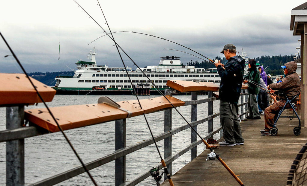 More than a dozen people, mostly regulars fishing here, lined the west-facing side of the recently rebuilt fishing pier in Edmonds on Wednesday morning. (Dan Bates / The Herald)
