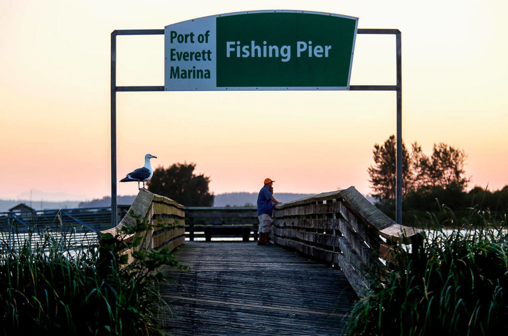 Everyone but a few sunset watchers and a gull has left the fishing pier at Port of Everett Marina on Monday as the sun sinks behind nearby islands and the Olympic Peninsula. (Dan Bates / The Herald)
