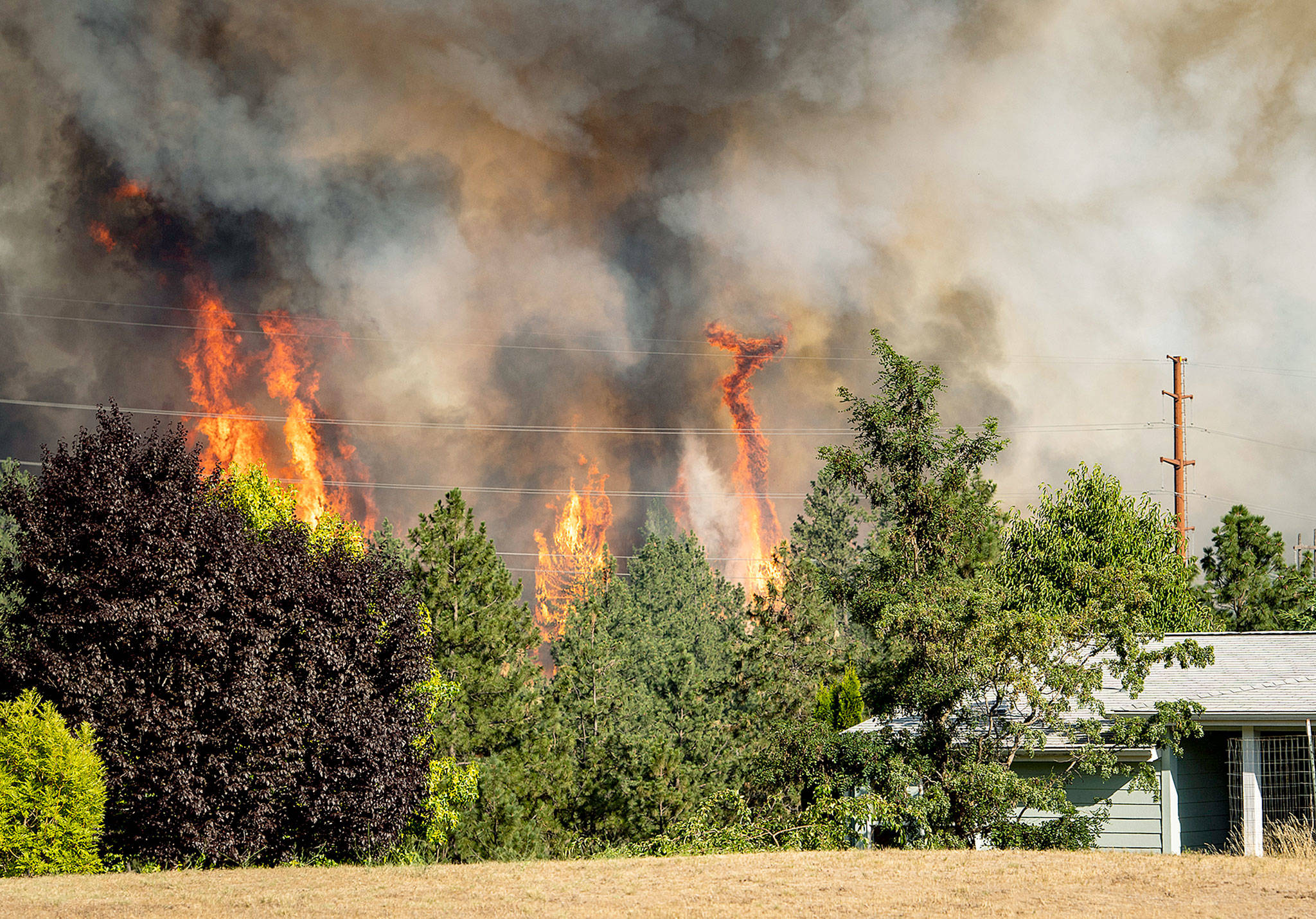 Trees burn near a home Tuesday in Spokane. (Colin Mulvany / The Spokesman-Review)