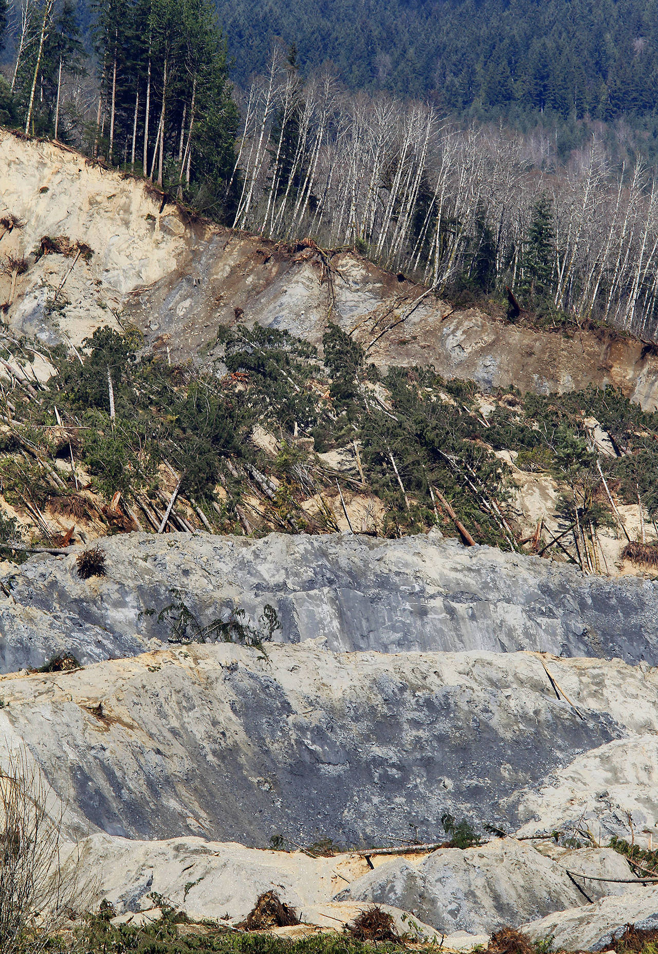 Rescue and recovery crews work at the site of the fatal mudslide near Oso on April 1, 2014. (Mark Mulligan / Herald file)