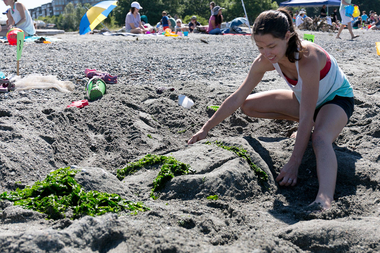 Gaby Hewett works on her entry for the annual Sand Sculpting Contest Tuesday morning at Marina Beach in Edmonds on July 24, 2018. (Kevin Clark / The Herald)