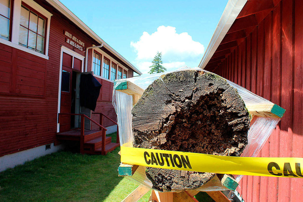 The base of the fairgrounds’ story pole has deteriorated after 70-plus years standing outside in all kinds of weather. How to restore it is being explored by the South Whidbey Historical Museum and Port of South Whidbey District. (Patricia Guthrie/Whidbey News Group)
