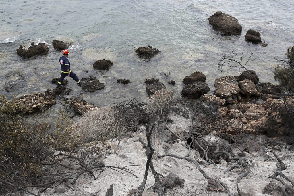 A member of a rescue team searches the area where burned trees hug the coastline in Mati, east of Athens, on Tuesday. (AP Photo/Thanassis Stavrakis)
