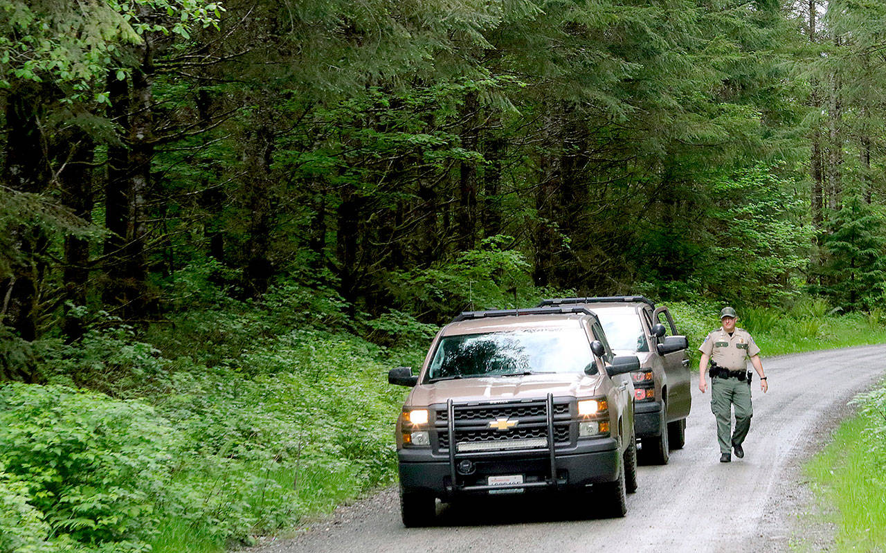 Washington State Fish and Wildlife Police leave the scene on a remote King County road near the site of a fatal cougar attack Saturday. (Alan Berner/The Seattle Times via AP)