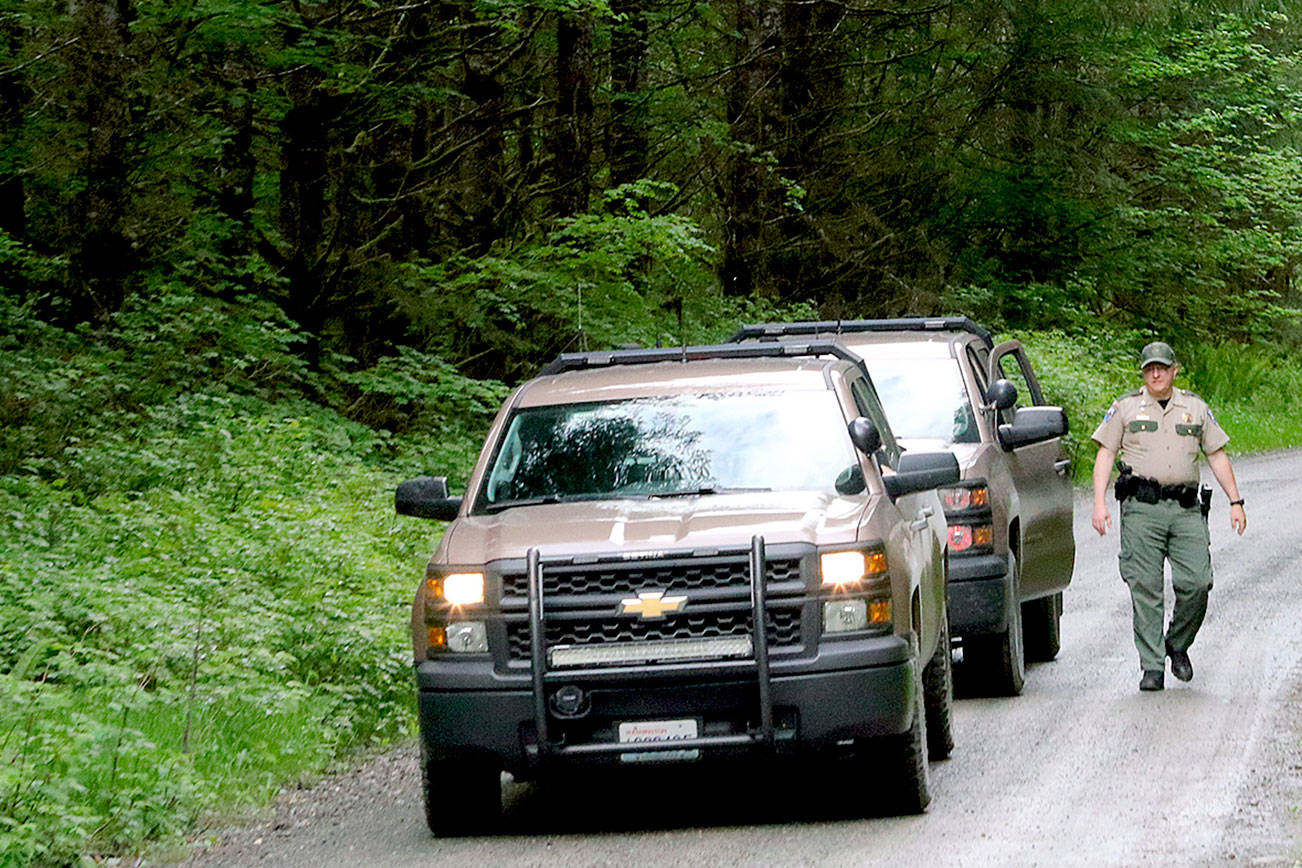 He couldn’t be spooked: ‘Something was wrong with this cougar’