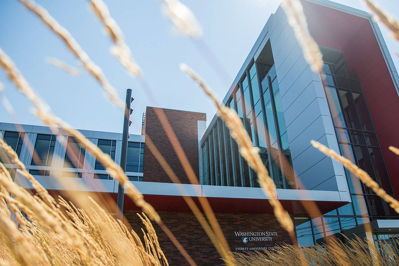 The Washington State University Everett campus on Wednesday, July 25, 2018 in Everett.. (Olivia Vanni / The Herald)