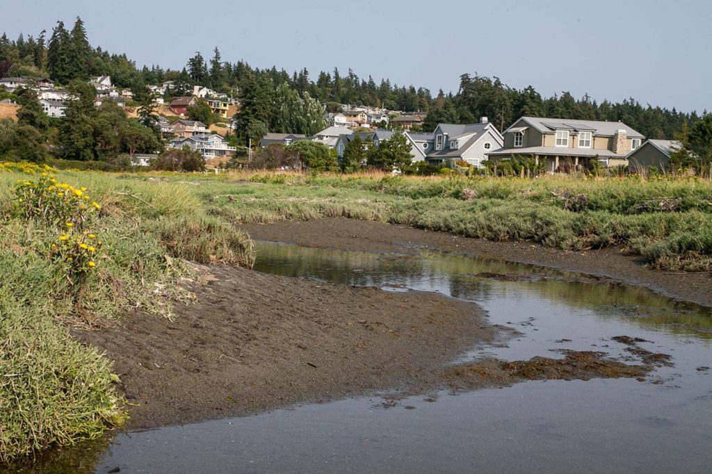 The Whidbey Camano Land Trust plans to add a small gravel parking lot and wildlife viewing area, hopefully opening by summer 2020. (Kevin Clark / The Herald)
