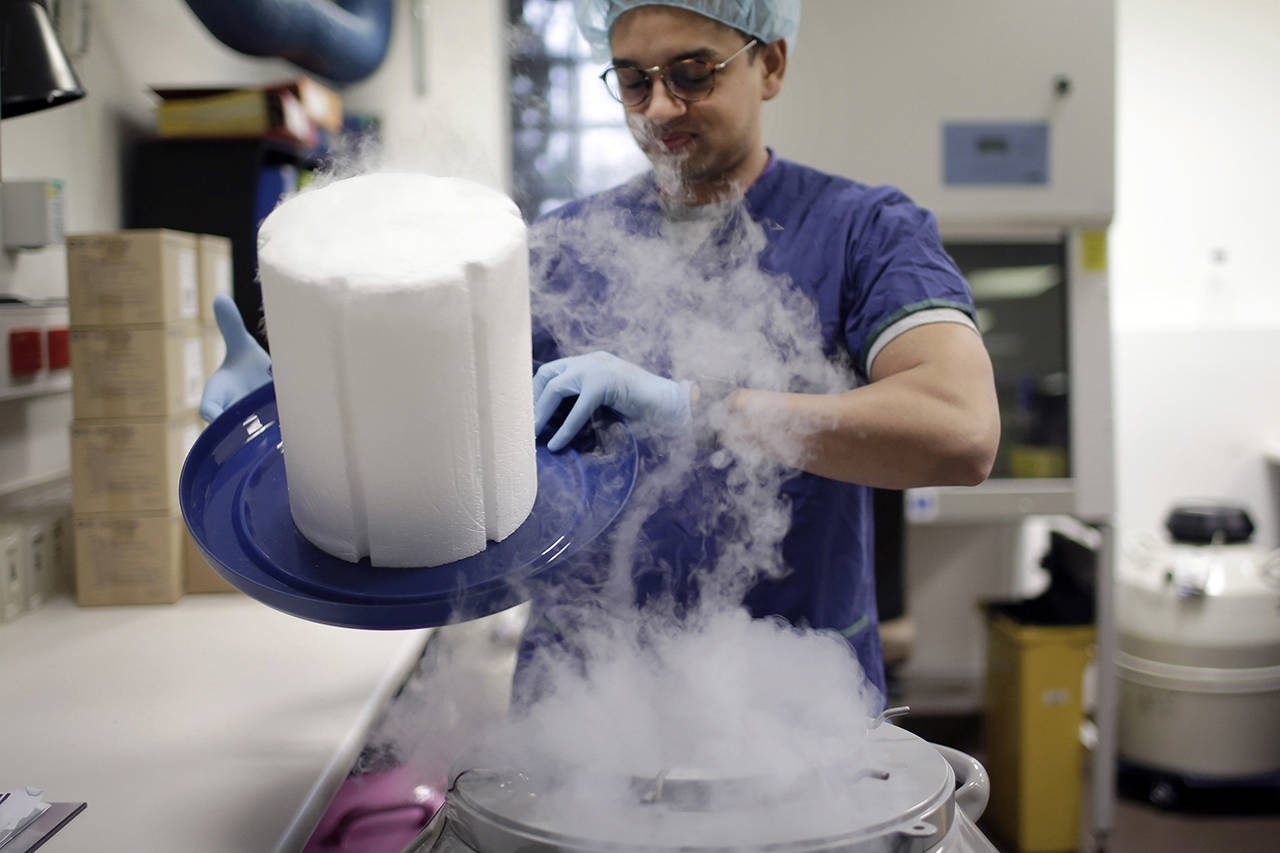 In this May 15 photo, scientist Fabrice De Bond opens the lid of a cryotank containing donor sperm samples in a lab at Melbourne IVF in Melbourne, Australia. (AP Photo/Wong Maye-E)