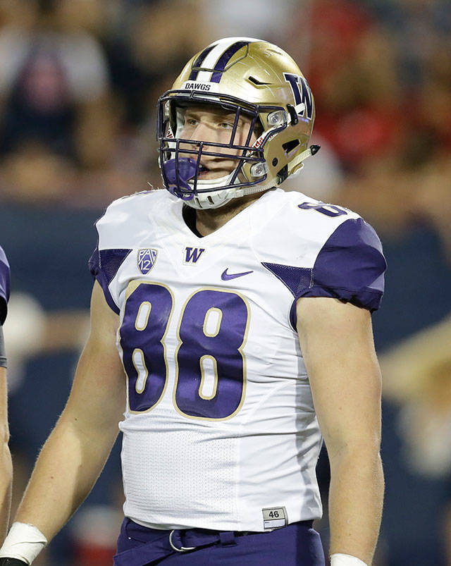 Washington senior tight end Drew Sample (88) will be expected to be a bigger factor in the passing game this season with Hunter Bryant expected to miss most of the season with an injury. (AP Photo/Rick Scuteri)