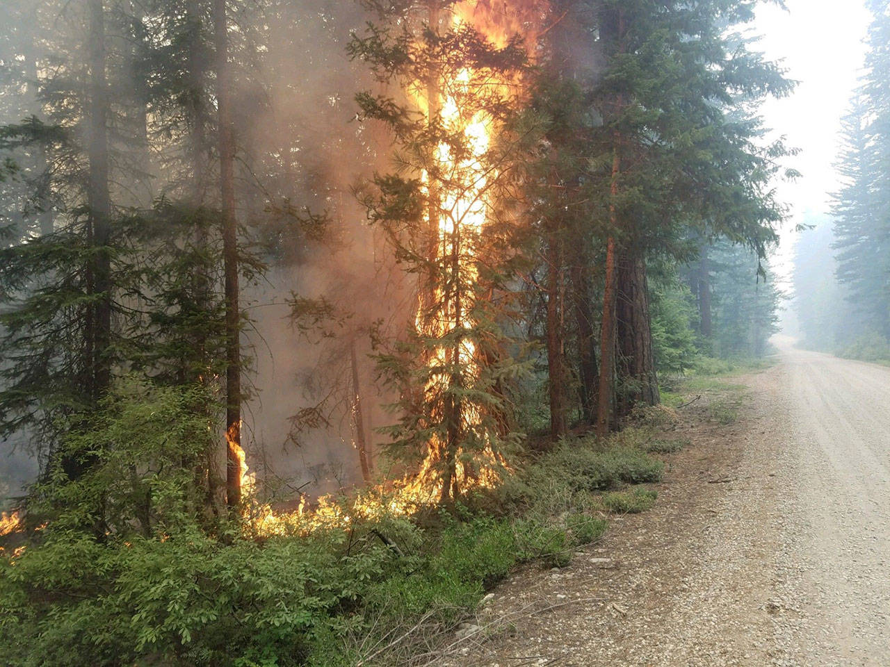 Fire is seen burning along Twisp River Road on the Okanogan Wenatchee National Forest on Aug. 5. (Official Crescent Mountain and Gilbert Fires Facebook)