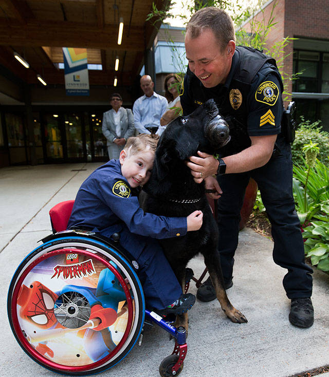 Chief for a Day Luca Keogh, 7, hugs K-9 Zando while officer Joe Dickinson laughs as they meet after a City Council meeting on Monday in Lynnwood. (Andy Bronson / The Herald)