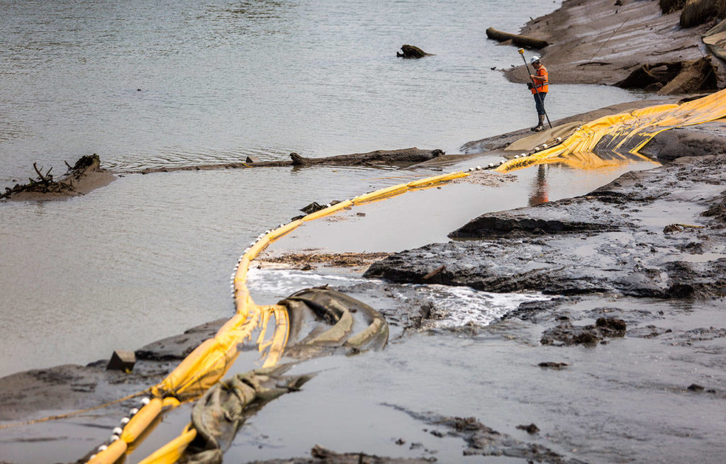 A worker surveys the water flowing past the breached dike leading to the Snohomish River estuary on Friday, Aug. 10, in Everett. (Olivia Vanni / The Herald)
