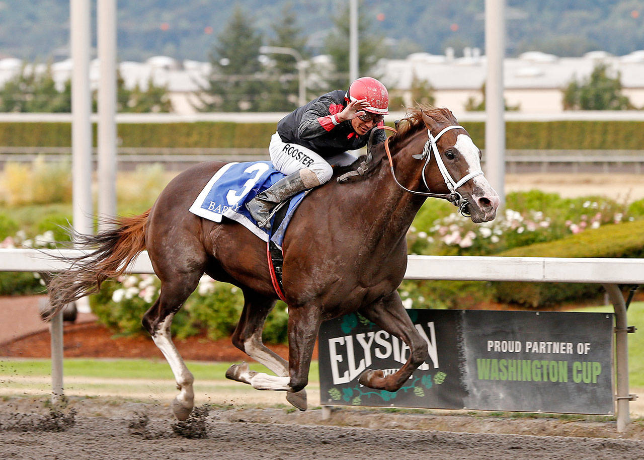 Barkley, with jockey Javier Matias aboard, won the Longacres Mile on Sunday. (Emerald Downs photo)                                Barkley, with jockey Javier Matias aboard, won the Longacres Mile on Sunday in a time of 1 minute, 34.93 seconds. (Emerald Downs photo)