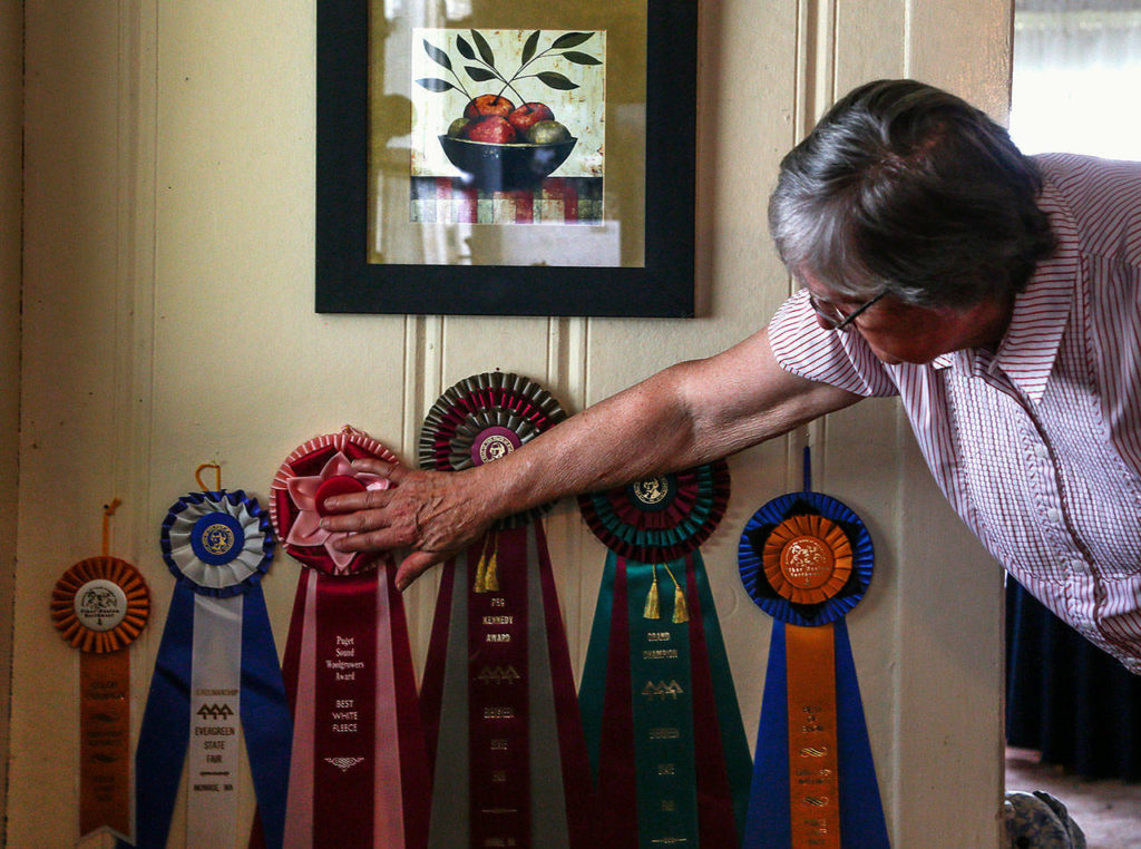 In Elaine and Dale Wilson’s comfortable farmhouse in the Lowell area, she straightens a ribbon displayed near a side door in the kitchen. (Dan Bates / The Herald)
