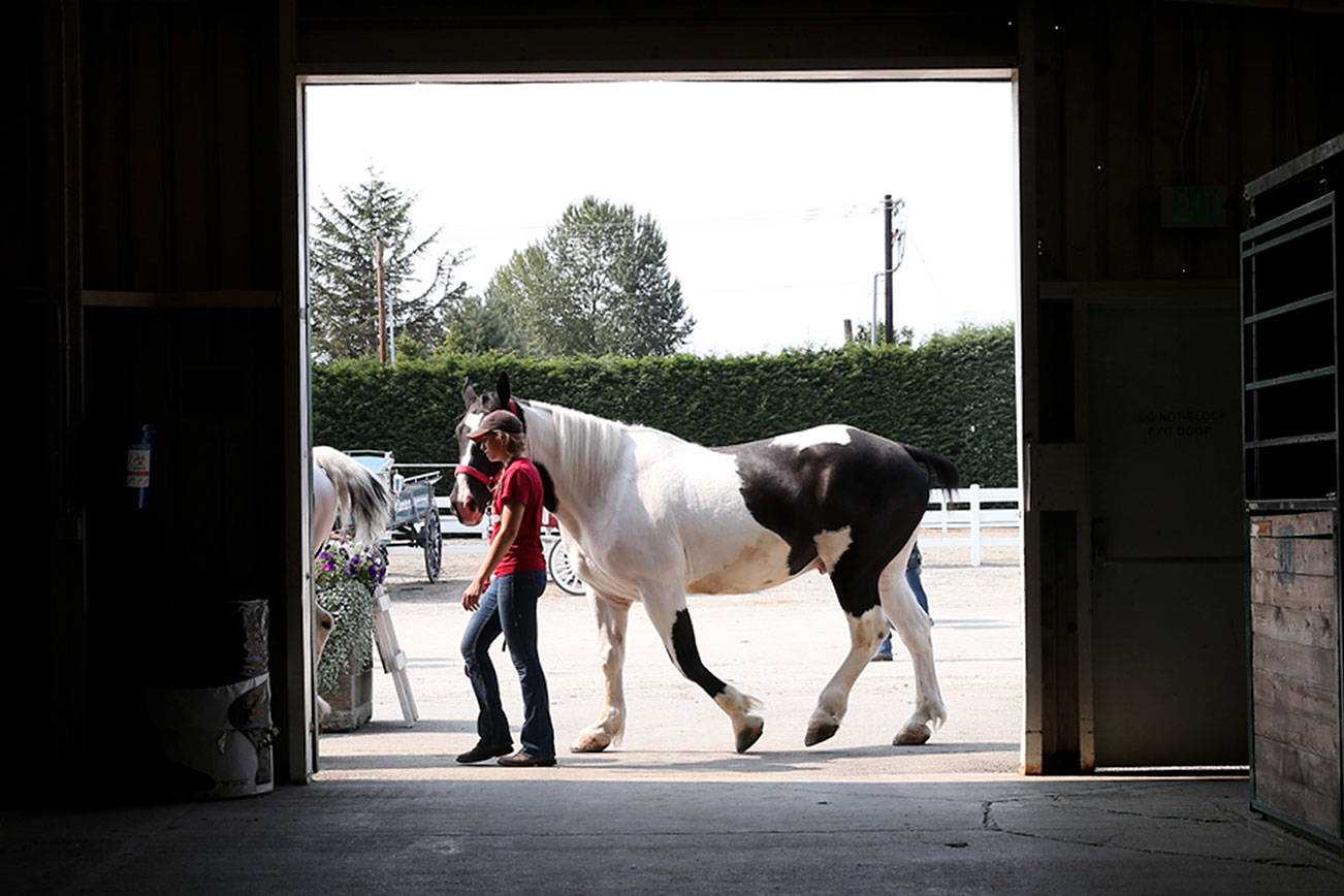 Evergreen State Fair: 5 things to know before you go