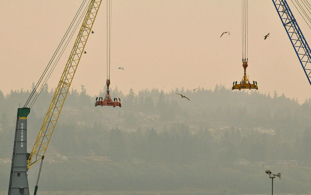 Crane and birds — and smoke — on the Everett waterfront Sunday. (Sue Misao / The Herald)
