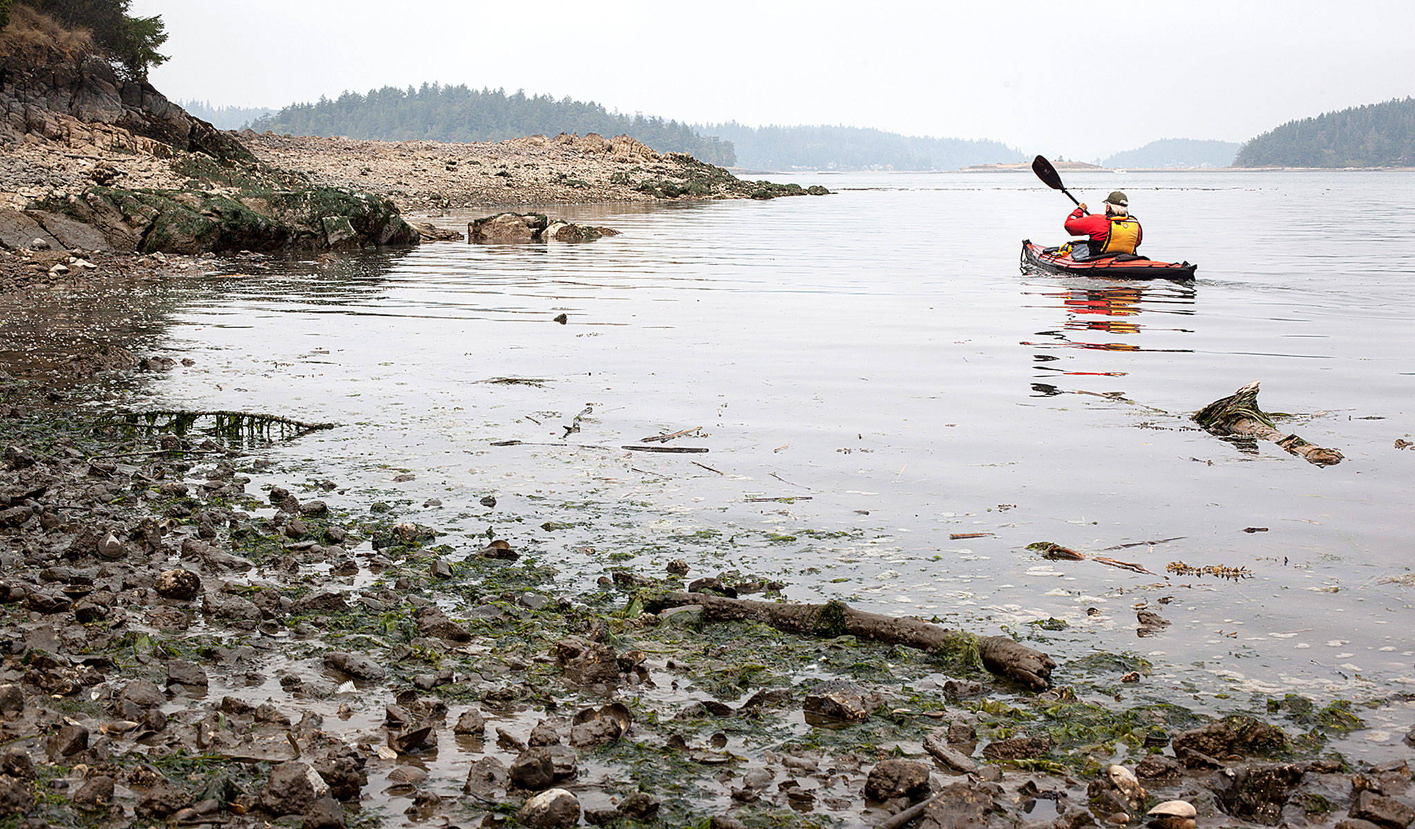 Don Crook, vice-president of the Washington Water Trails Association, leaves Hope Island after checking on a site paddlers of the Cascadia Marine Trail use. (Lizz Giordano / The Herald)