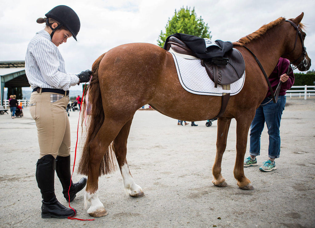 Lily Nebeker, 15, braids her horse Rem’s tail with ribbon Thursday on opening day at the Evergreen State Fair in Monroe. (Olivia Vanni / The Herald)
