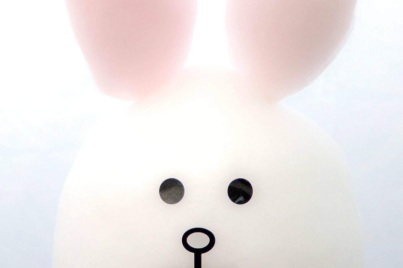 Eat cute: Cotton candy animals join food lineup at the fair Eat cute: Cotton candy animals join food lineup at the fair