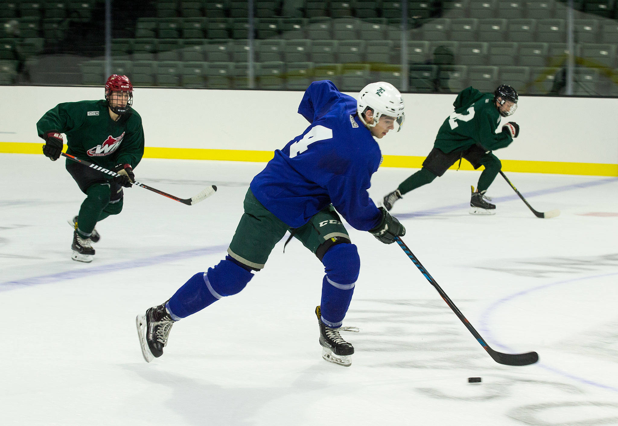 The Silvertips’ Ian Walker (center) is chased as he takes skates down the ice during training camp on Aug. 23, 2018, at Angel of the Winds Arena in Everett. (Andy Bronson / The Herald)