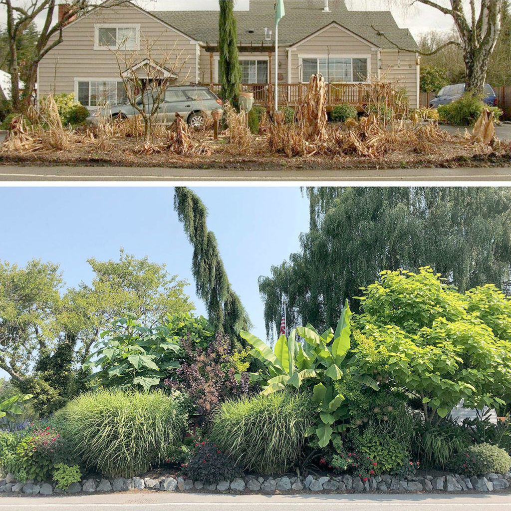 Steve Smith’s tropical garden transforms from nearly nothing in winter (top) to an impenetrable mass of vegetation in summer. (contributed photo)
