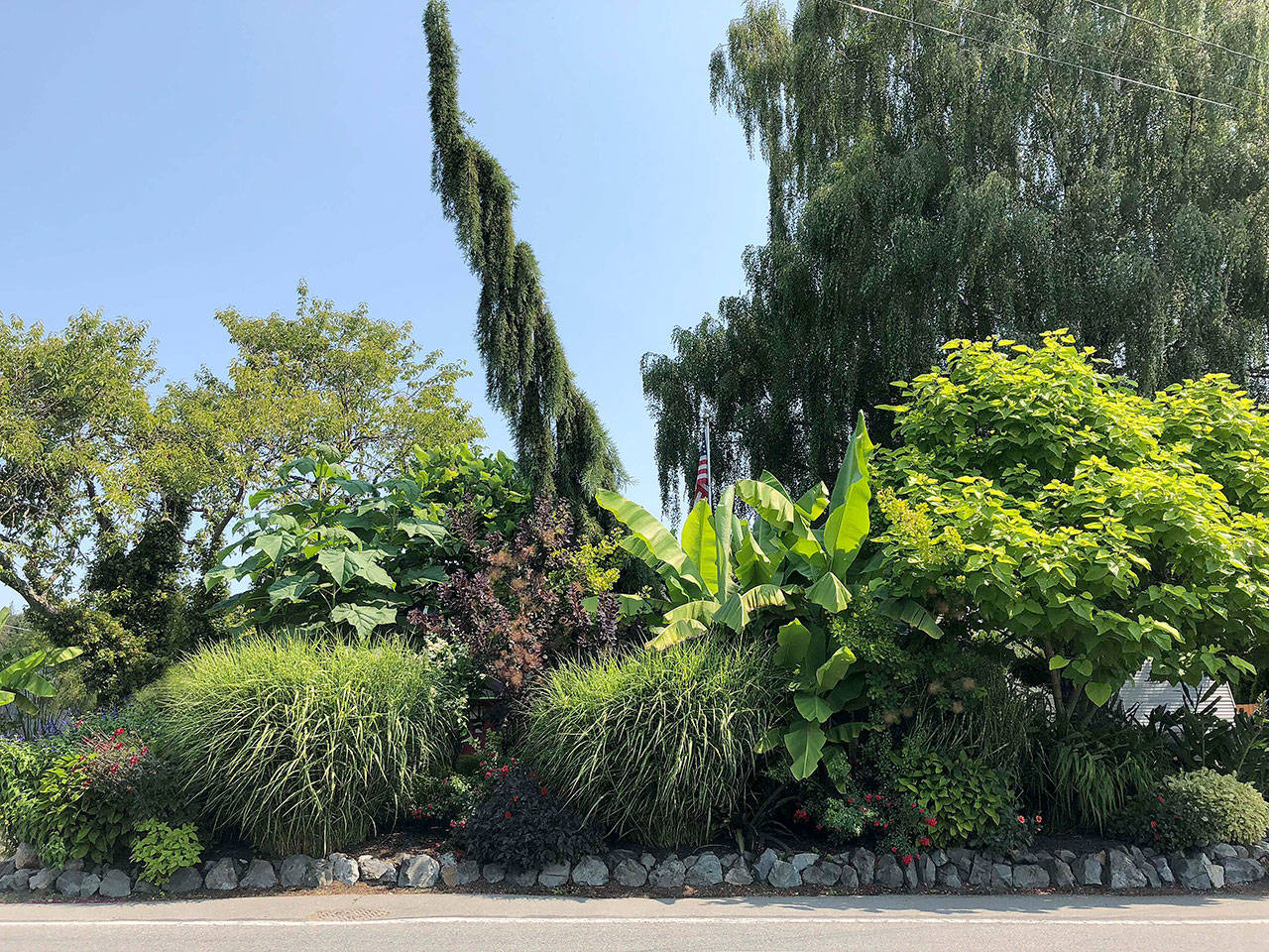 The plants in Steve Smith’s roadside garden along Sunnyside Boulevard have a tropical look but can be left in the ground year-round. (Contributed photo)