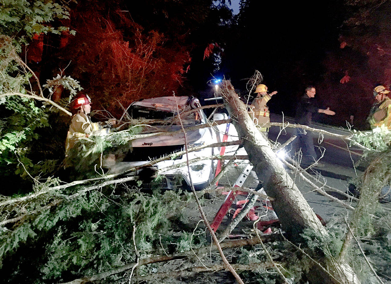 A woman was trapped inside her SUV when a tree landed on top of it Wednesday evening southeast of Mill Creek. (Snohomish County Fire District 7)