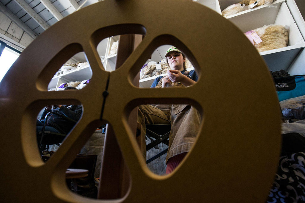 Morgan Wolf, 19, spins Romney wool into thread during the last day of the Evergreen State Fair on Monday in Monroe, Wa. (Andy Bronson / The Herald) 
