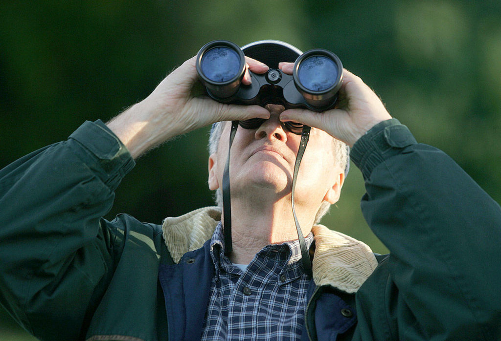 John Vanderbeck watches as the first of the Swifts arrive at the Wagner Performing Arts Center to roost in the chimney in 2010. Vanderbeck had never seen the arrival of the Swifts before, and he, his wife, and their neighbors brought a picnic dinner to enjoy before the Swifts began circling the area. (Herald file)

