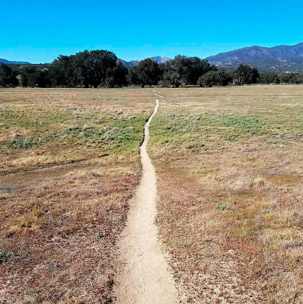 A long, lonely trail lay ahead for Devin Boyd near Warner Springs, California, on the Pacific Crest Trail. (Photo Devin Boyd)
