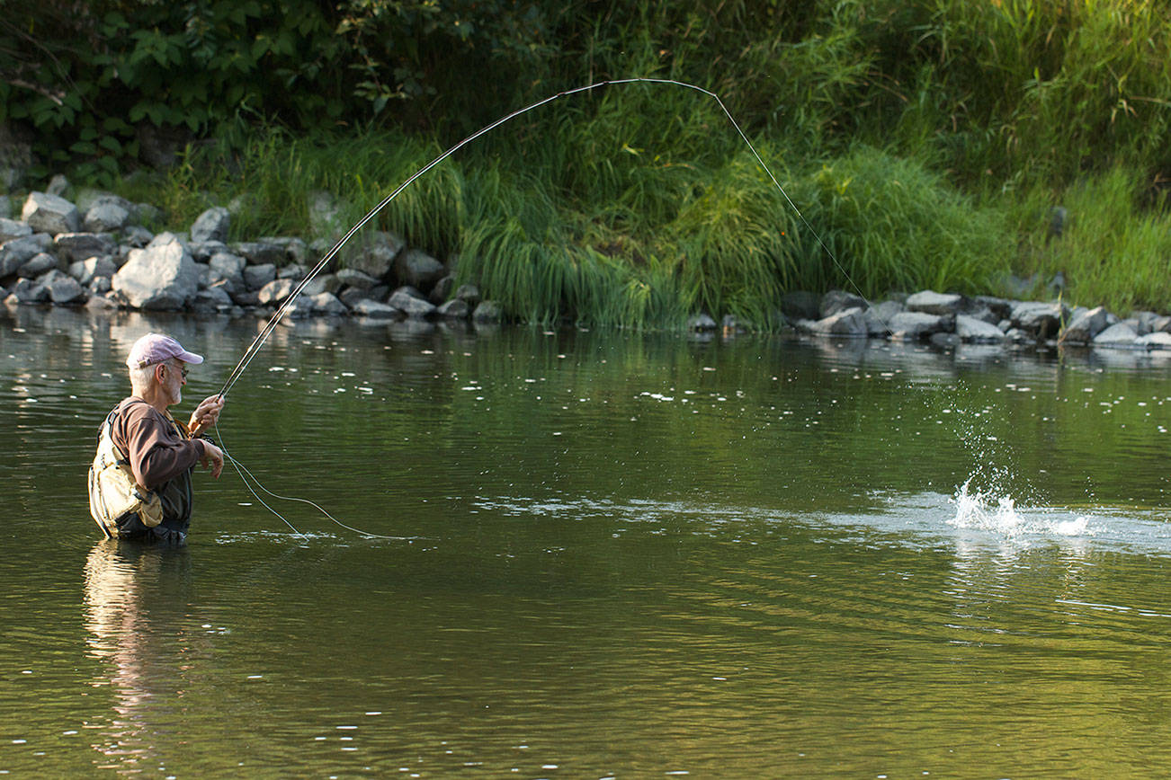 No need to travel far for fishery unique to Northwest