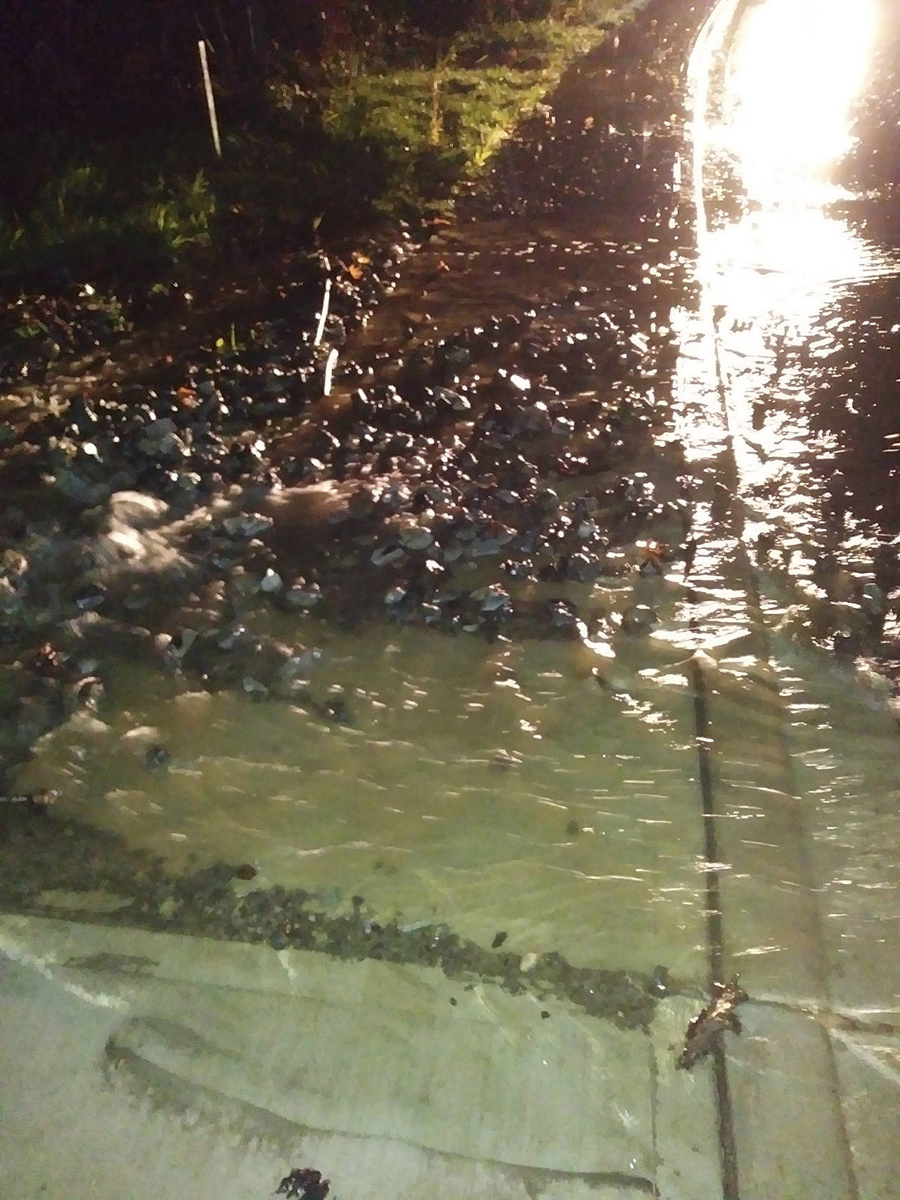A photo from Monday night shows water over the road and sidewalk on Callow Road after heavy rain. (Courtesy of Aaron Bird)