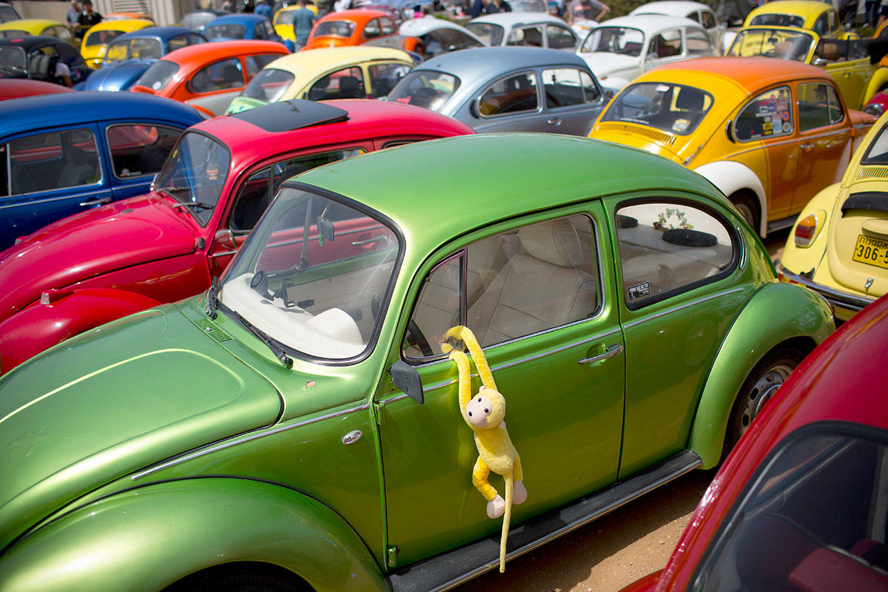 In this April 21, 2017, file photo Volkswagen Beetles displayed during the annual gathering of the “Beetle club” in Yakum, central Israel. Volkswagen says it will stop making its iconic Beetle in July of next year. (Oded Balilty / AP file)