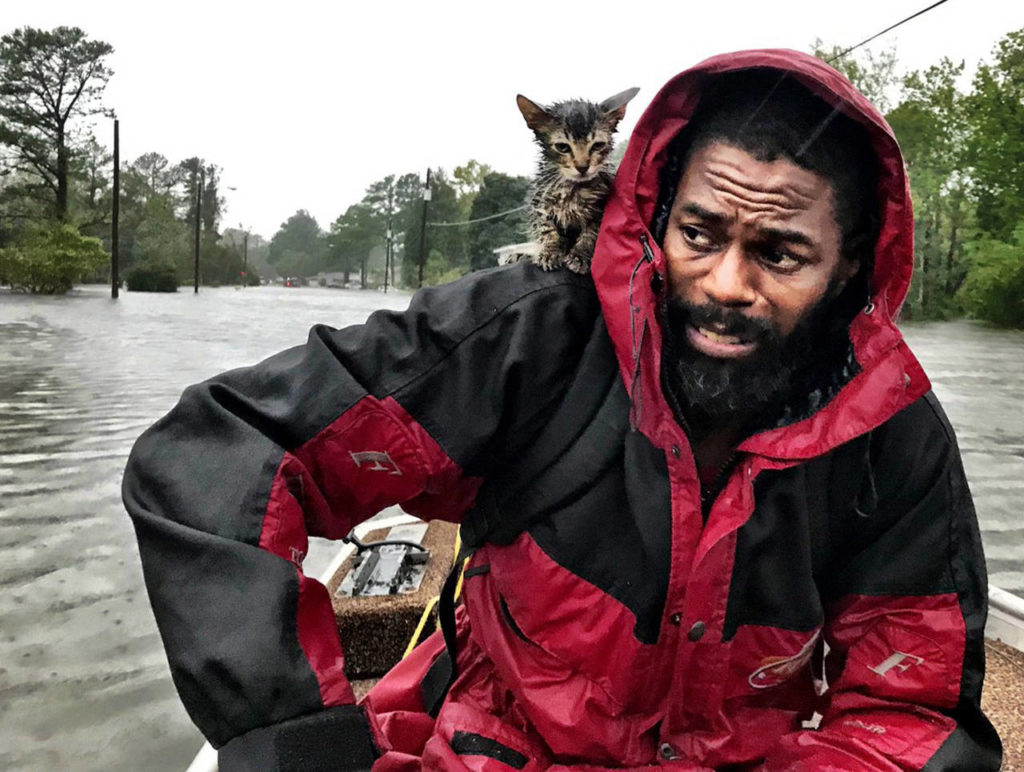Robert Simmons Jr. and his kitten “Survivor” are rescued from floodwaters after Hurricane Florence dumped several inches of rain in the area overnight Friday in New Bern, North Carolina. (Andrew Carter/The News & Observer via AP)
