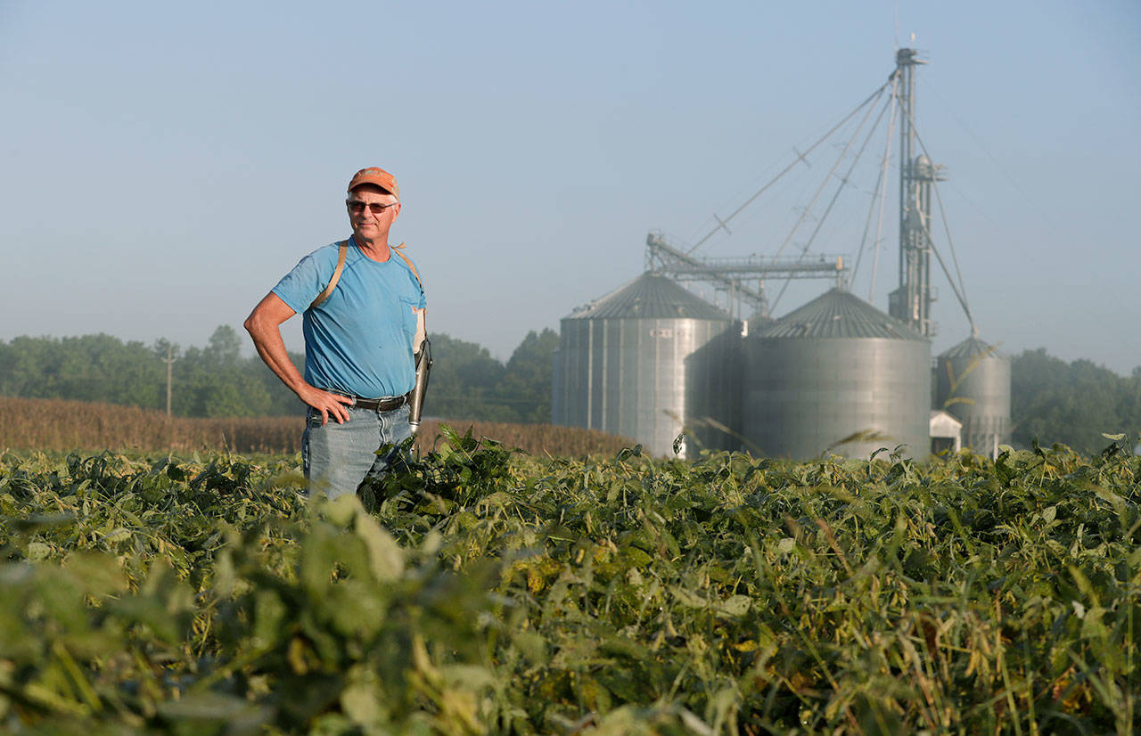 Jack Maloney looks over one of the soybean fields on his Little Ireland Farms in Brownsburg, Indana, on Sept. 12. Maloney, who farms about 2,000 acres in Hendricks Count, said the aid for farmers is “a nice gesture” but what farmers really want is free trade, not government handouts. (AP Photo/Michael Conroy)
